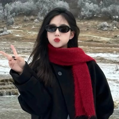 远去的飞鹰